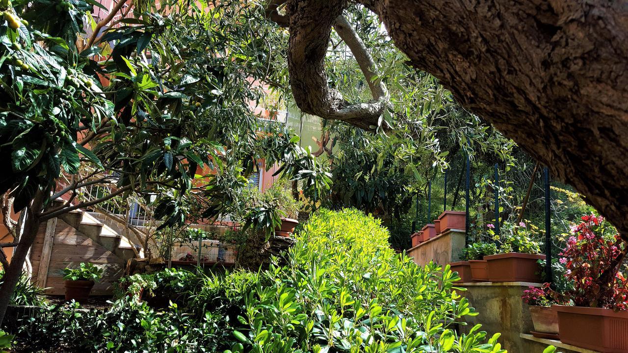Bed and Breakfast Delle Rose Cefalú Exterior foto
