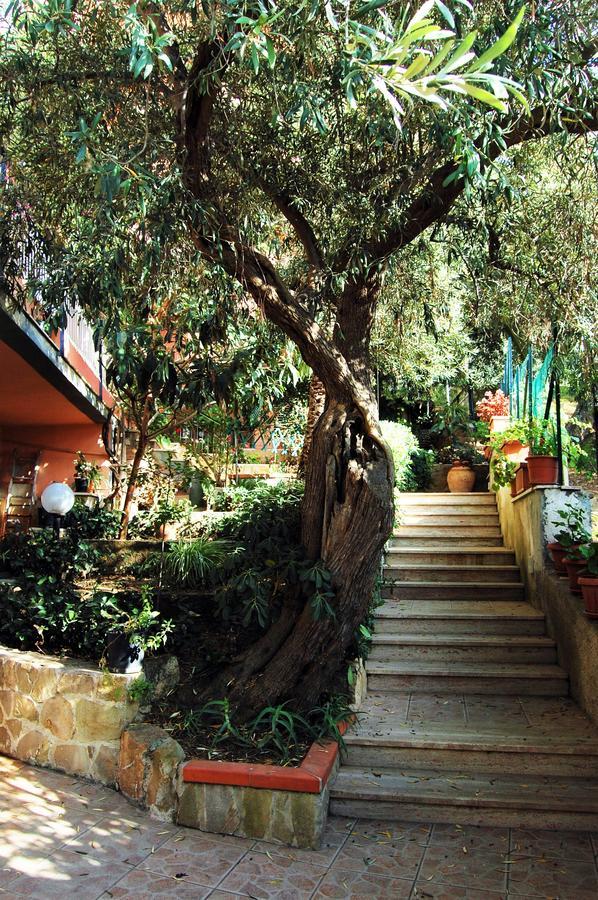 Bed and Breakfast Delle Rose Cefalú Exterior foto